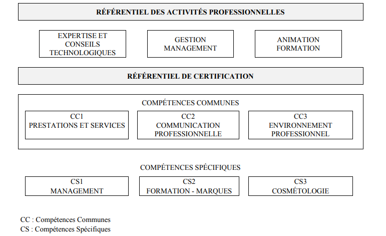 Illustration BP Coiffure